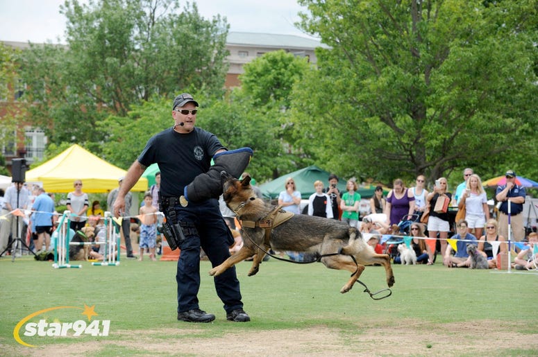 Woofstock Suwanee 2018 Woofstock Suwanee 2018