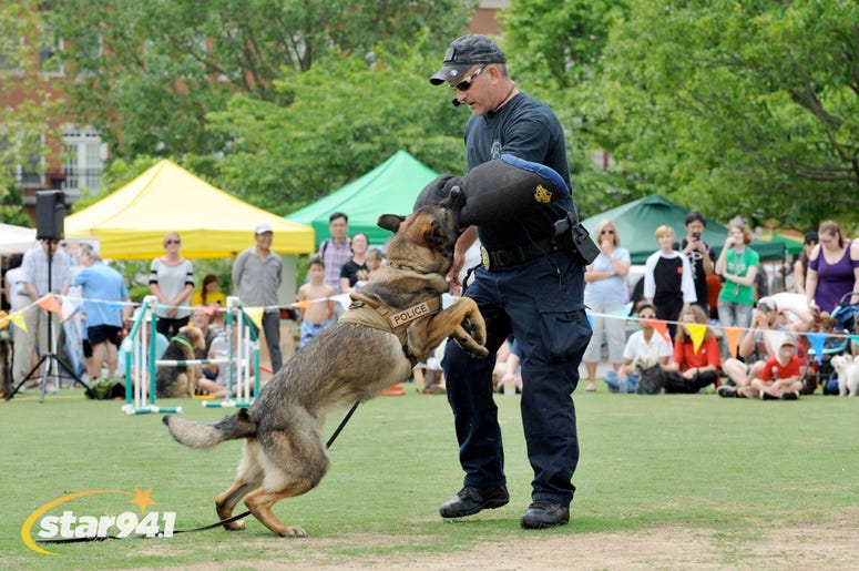 Woofstock Suwanee 2018 Woofstock Suwanee 2018