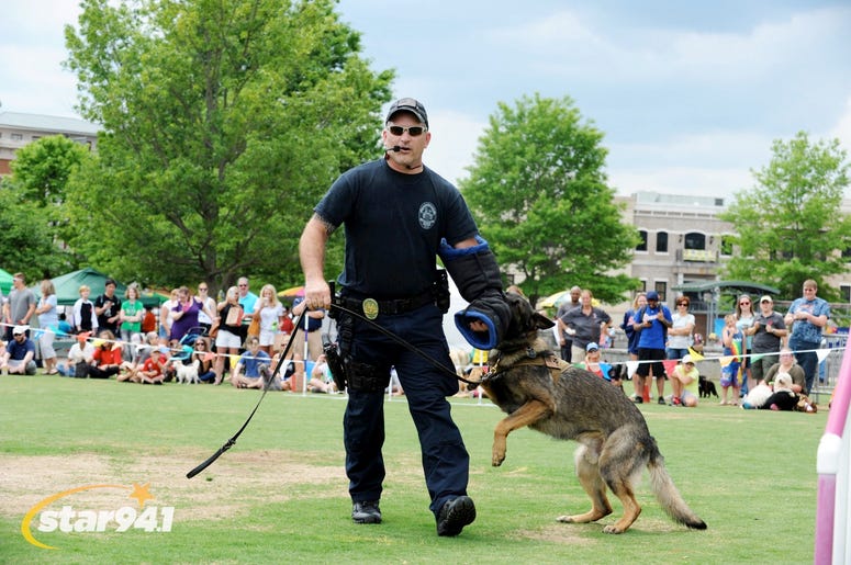 Woofstock Suwanee 2018 Woofstock Suwanee 2018