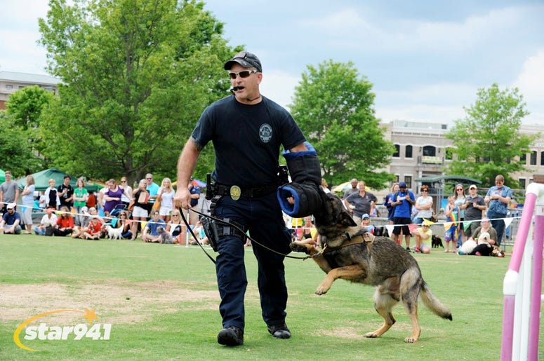 Woofstock Suwanee 2018 Woofstock Suwanee 2018