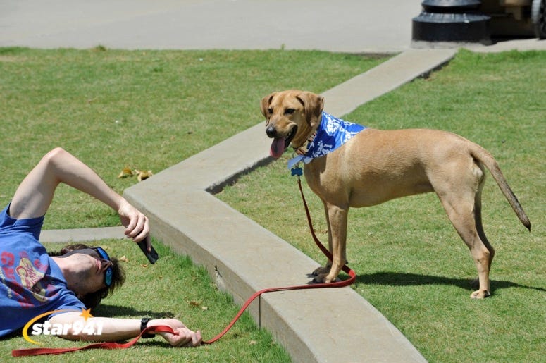 Woofstock Suwanee 2019 Woofstock Suwanee 2019