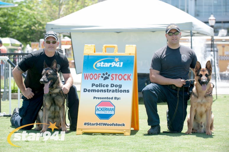 Woofstock Suwanee 2018 Woofstock Suwanee 2018