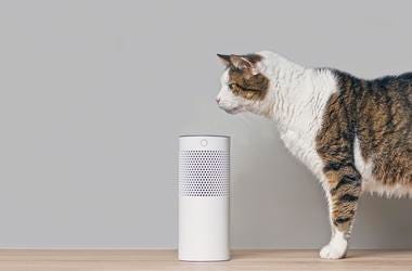 Jenn and Friends has an Alexa with an attitude!