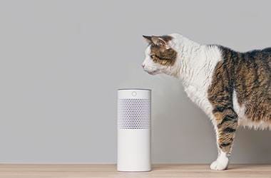 Ask Alexa: Men to the OBGYN?