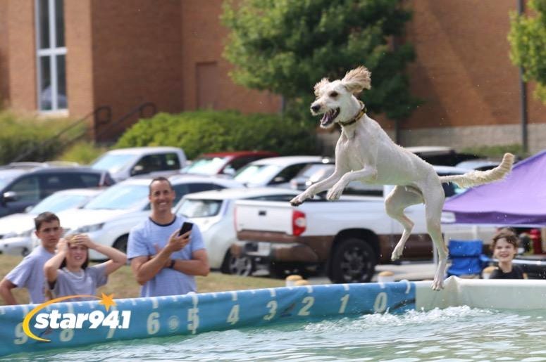Woofstock Smyrna 2019 Woofstock Smyrna 2019
