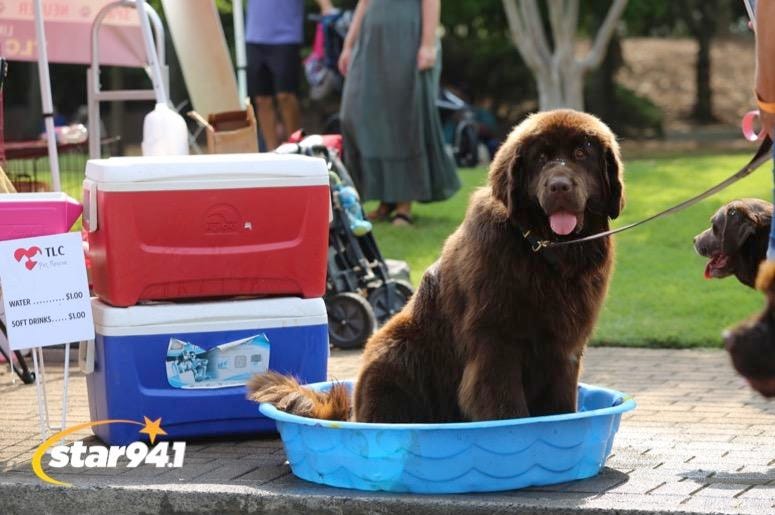 Woofstock Smyrna 2019 Woofstock Smyrna 2019