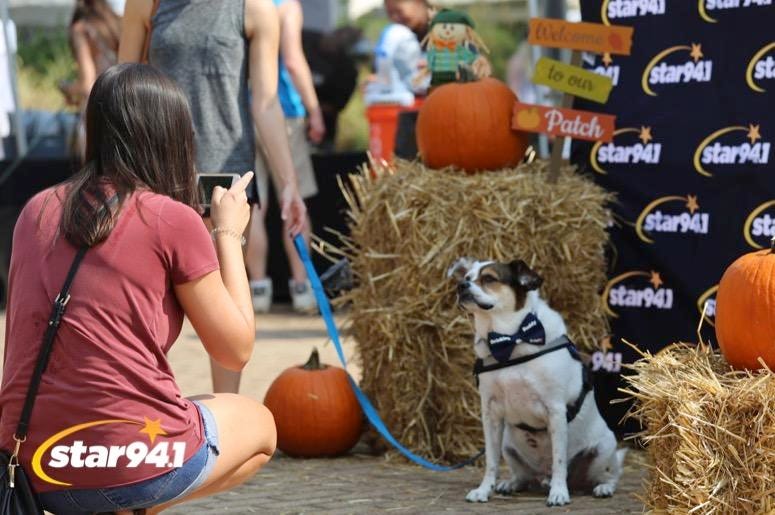 Woofstock Smyrna 2019 Woofstock Smyrna 2019
