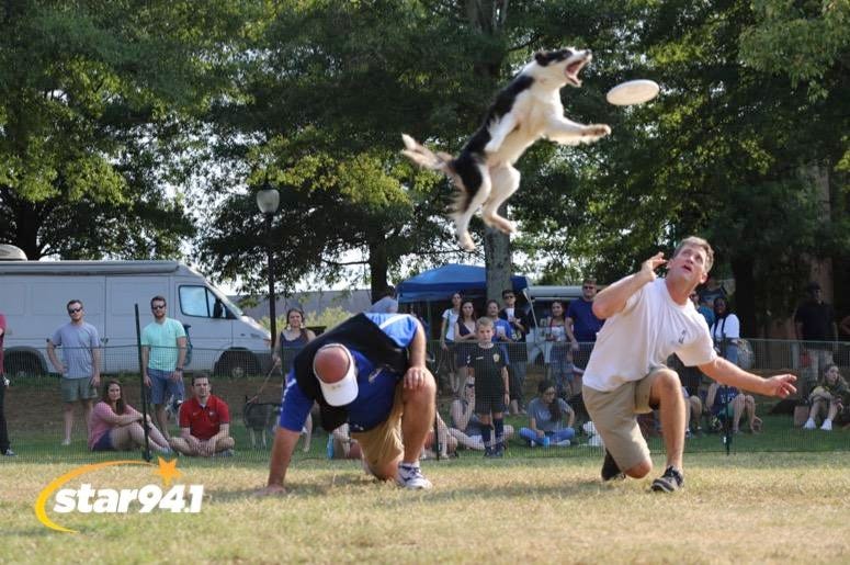 Woofstock Smyrna 2019 Woofstock Smyrna 2019