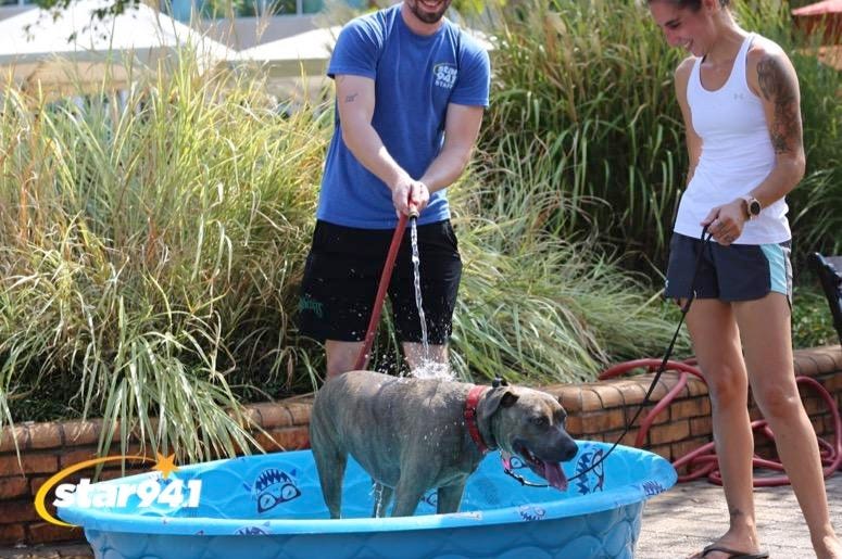 Woofstock Smyrna 2019 Woofstock Smyrna 2019