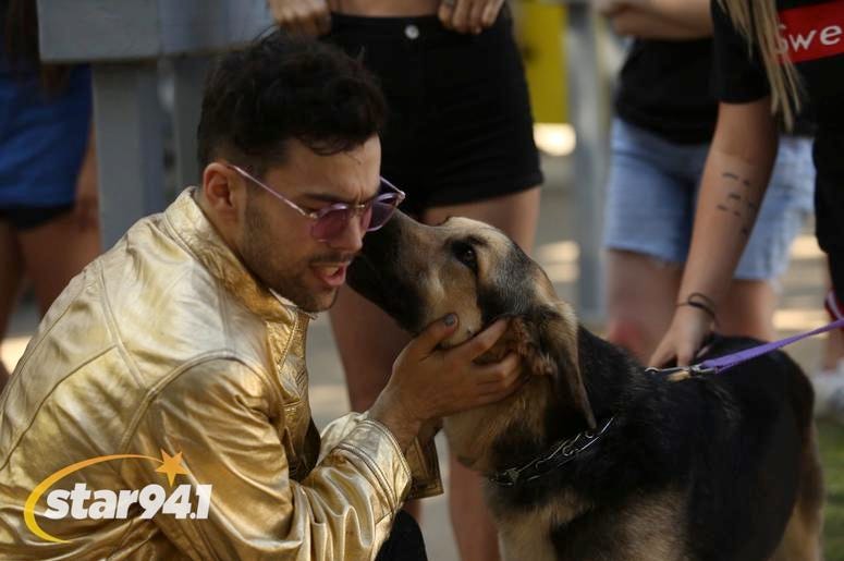 MAX M&G at Woofstock Suwanee 2018 MAX M&G at Woofstock Suwanee 2018