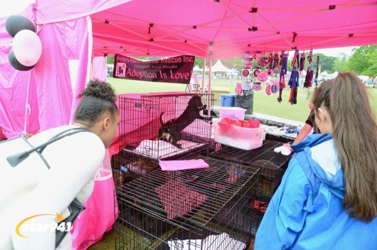 Woofstock Suwanee 2019 Woofstock Suwanee 2019