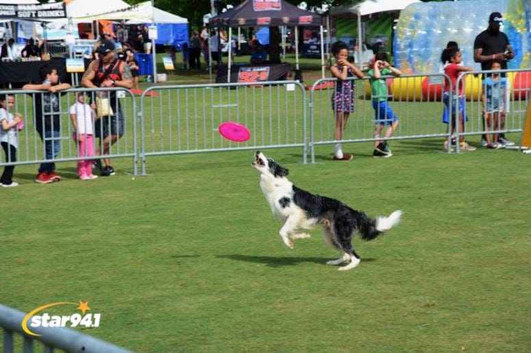 Woofstock Suwanee 2019 Woofstock Suwanee 2019