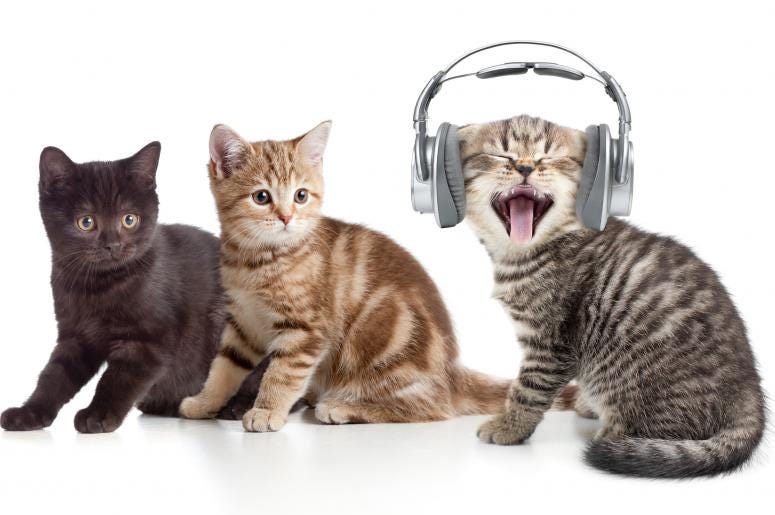 Cats