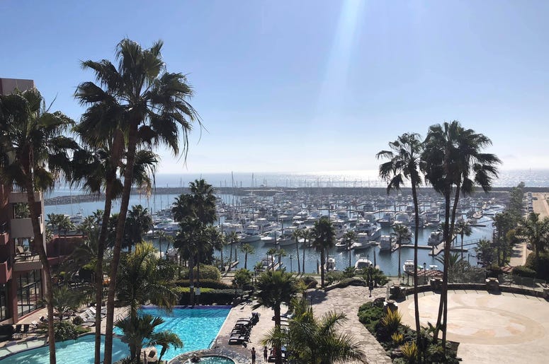 The Marina