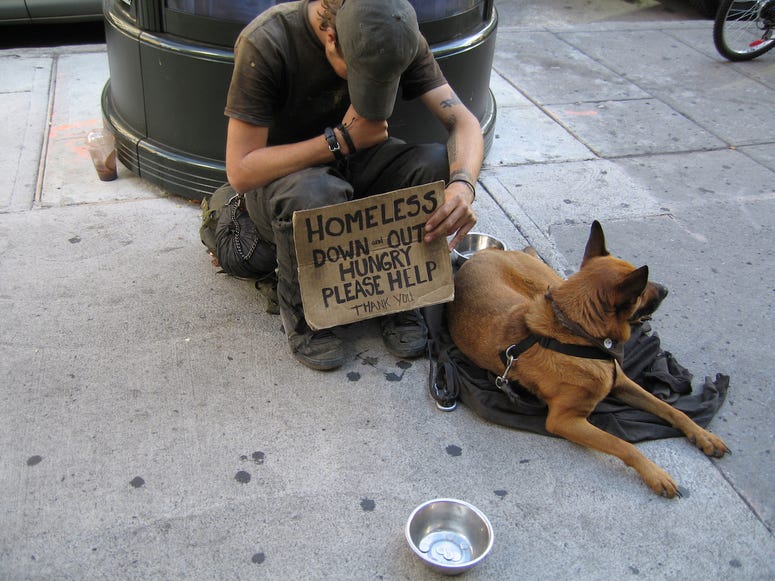 Dogs, Homeless, Dogs as Pets