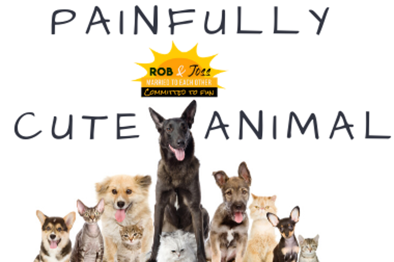 Animals
