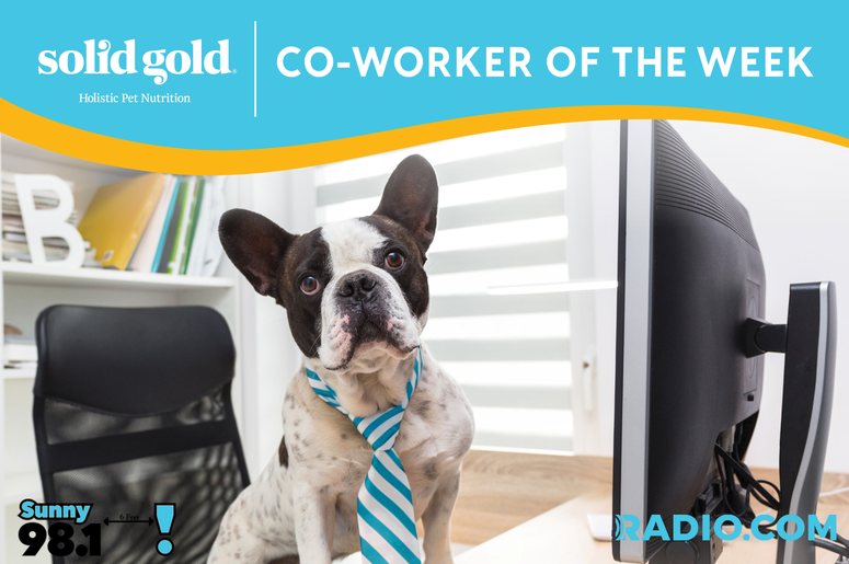 Best Co Worker