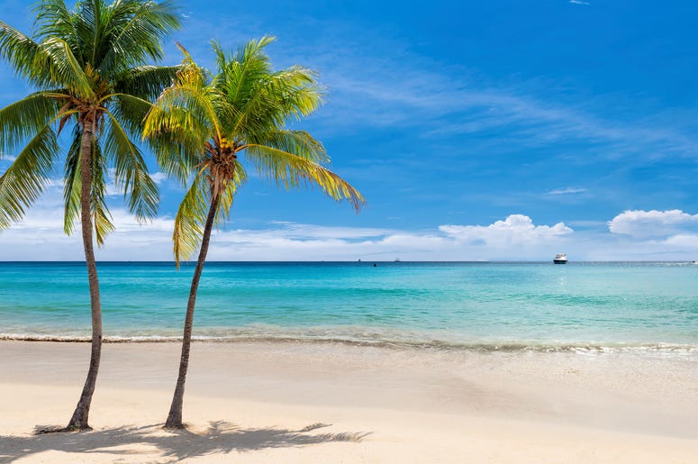 Beach with Palm Trees