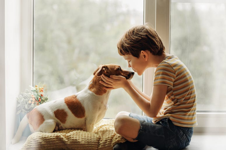 kid kissing dog