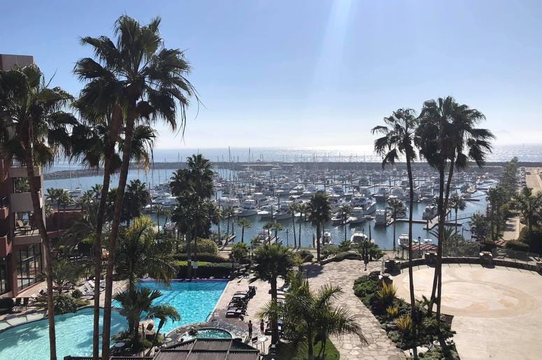 The Marina