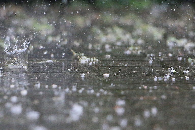 Rain
