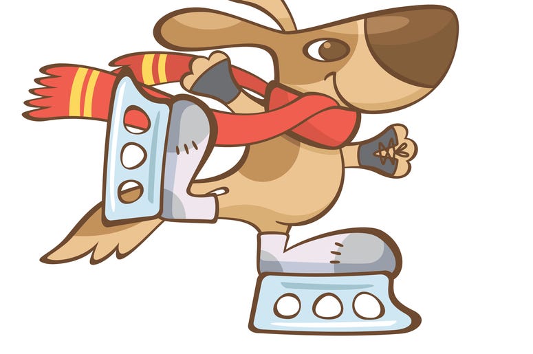 Skating Dog Skating Dog