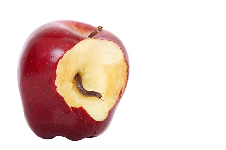 Worm in Apple Worm in Apple