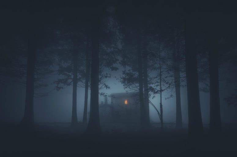 Scary house in mysterious horror forest at night Scary house in mysterious horror forest at night