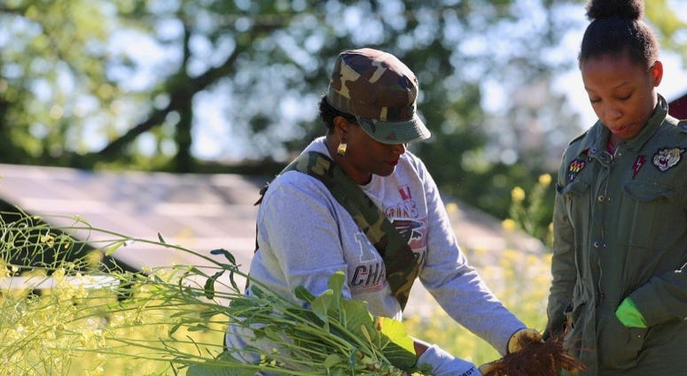 1Day1Thing Earth Day 2019 Metro Atlanta Urban Farm 1Day1Thing Earth Day 2019 Metro Atlanta Urban Farm