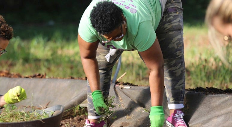 1Day1Thing Earth Day 2019 Metro Atlanta Urban Farm 1Day1Thing Earth Day 2019 Metro Atlanta Urban Farm
