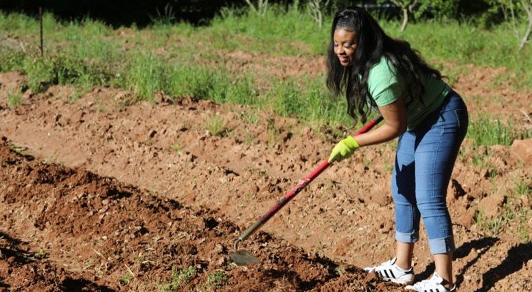 1Day1Thing Earth Day 2019 Metro Atlanta Urban Farm 1Day1Thing Earth Day 2019 Metro Atlanta Urban Farm