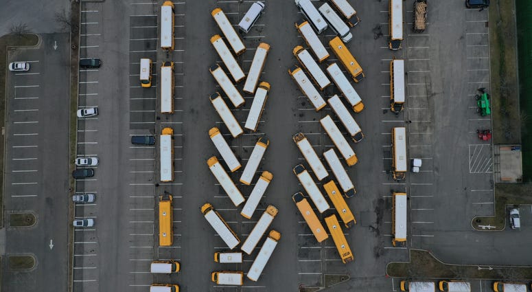 School Buses School Buses