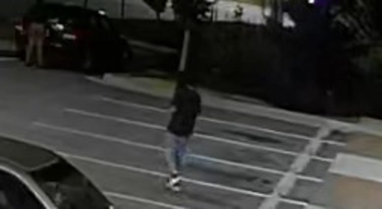 Gwinnett County Police_pic-1