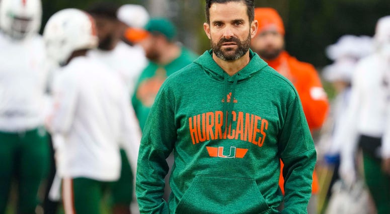 miami dolphins