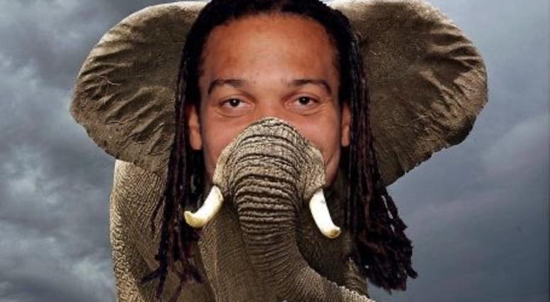 Elephant or Crowder Pic