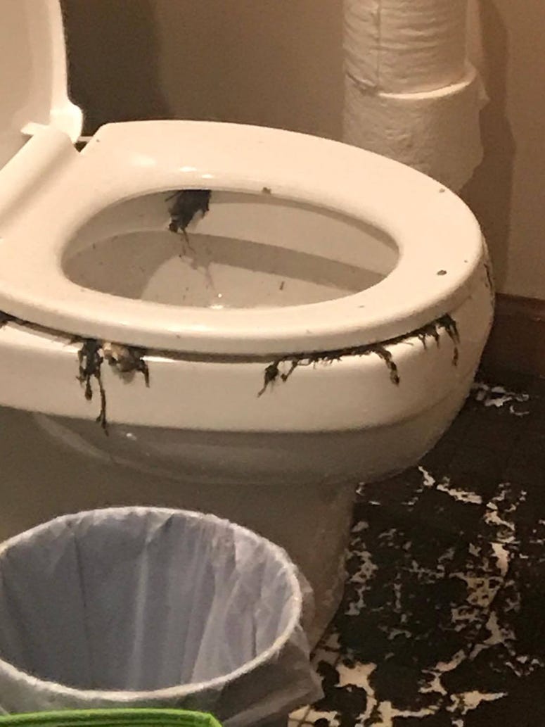 A Michigan City homeowner said the damage caused by a city crew cleaning out the sewer lines outside her home is “devastating,” and will cost tens of thousands of dollars for repairs and lost rental income. A Michigan City homeowner said the damage caused by a city crew cleaning out the sewer lines outside her home is “devastating,” and will cost tens of thousands of dollars for repairs and lost rental income.
