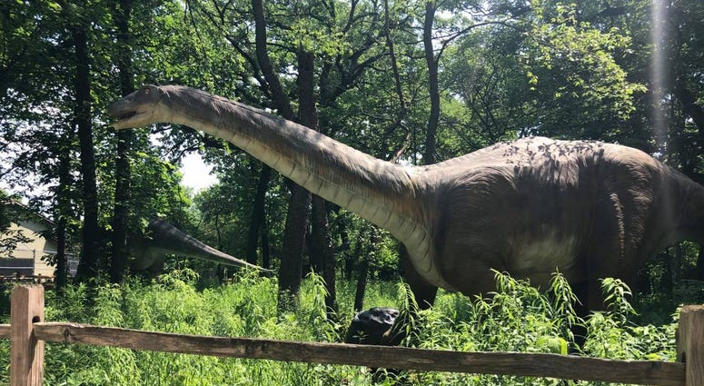 Dinos Everywhere! at Brookfield Zoo Dinos Everywhere! at Brookfield Zoo
