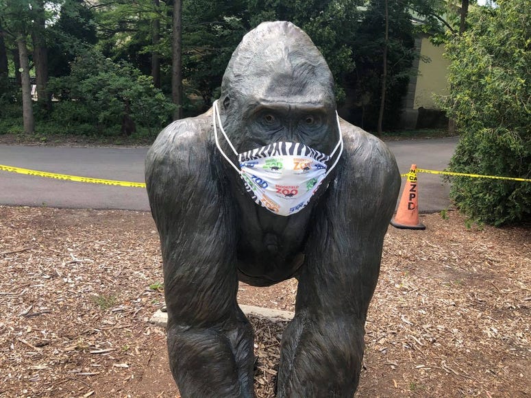 Brookfield Zoo Face Mask Requirement Brookfield Zoo Face Mask Requirement
