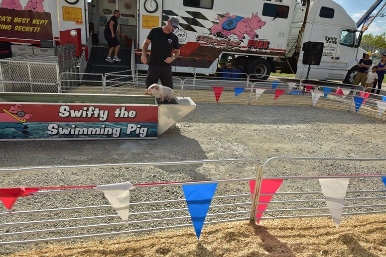 Kane County Fair