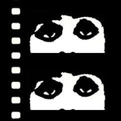 Chicago International Film Festival