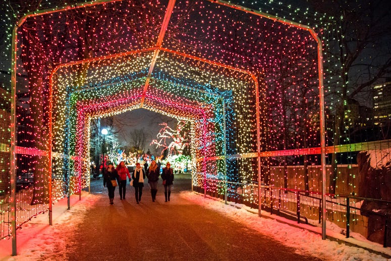 Lincoln Park ZooLights Lincoln Park ZooLights