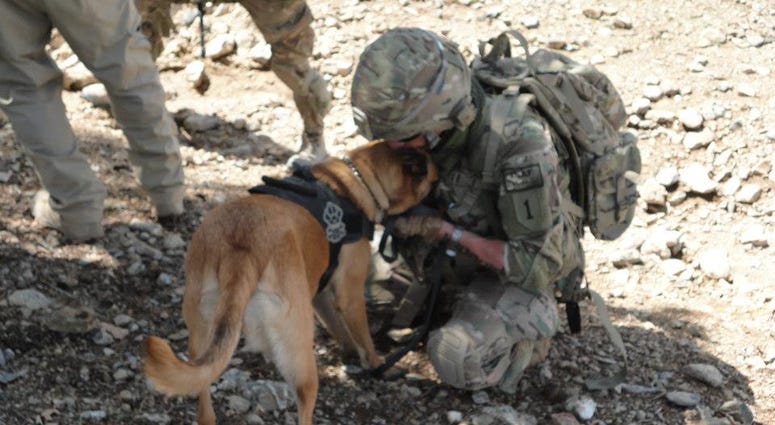 Joseph Steenbeke and Tess, the bomb stiffing dog