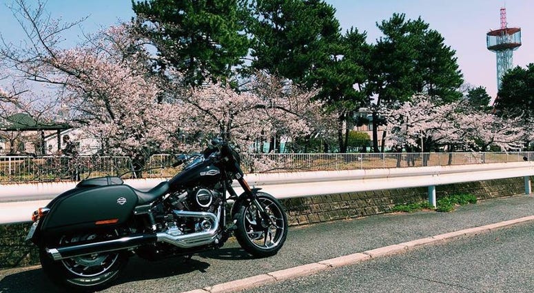Harley-Davidson thinks it's found a way to attract a lot of applicants for one of its summer internships.