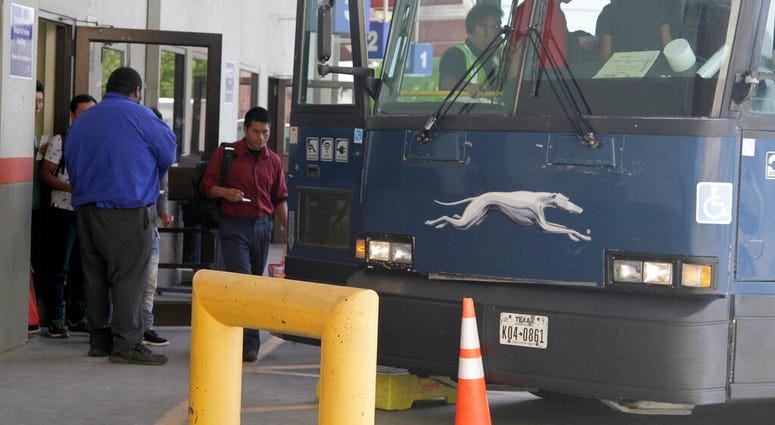 Greyhound