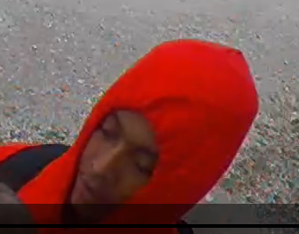 Police released surveillance images of the person wanted for sexually assaulting a girl Sept. 9, 2019, in the 7800 block of Central Avenue in Burbank. Police released surveillance images of the person wanted for sexually assaulting a girl Sept. 9, 2019, in the 7800 block of Central Avenue in Burbank.