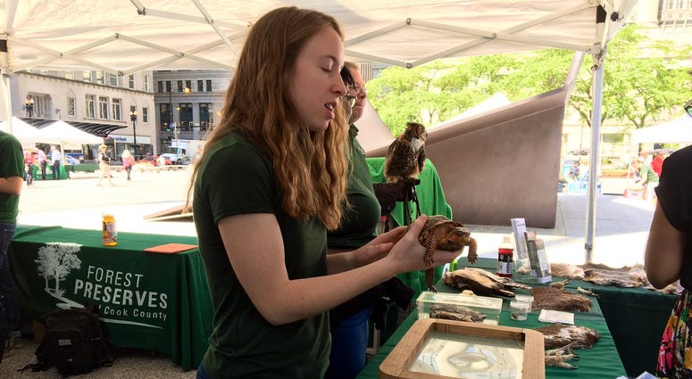 Forest Preserves Host 'Live Healthy, Discover Nature' Event In Daley Plaza Forest Preserves Host 'Live Healthy, Discover Nature' Event In Daley Plaza