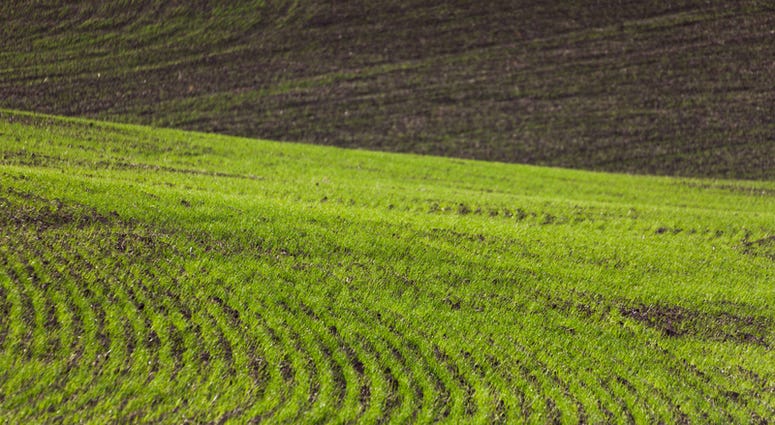 Farm Land Farm Land
