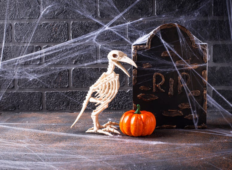 Halloween Halloween