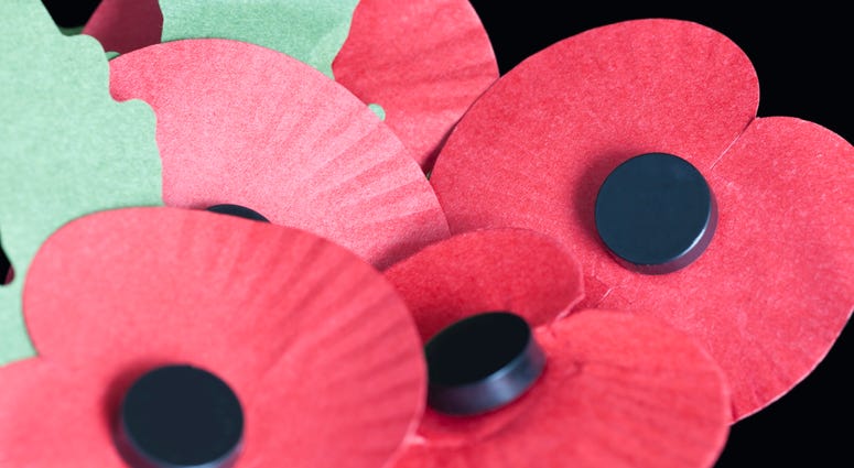 Poppies Poppies