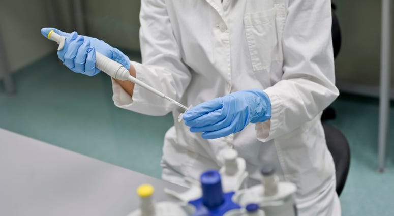 DNA Testing DNA Testing